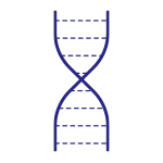 picto-regeneration_cellulaire-b picto-regeneration_cellulaire-b