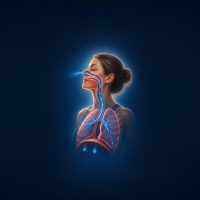 functionnal_airway_academy_mimic-06a